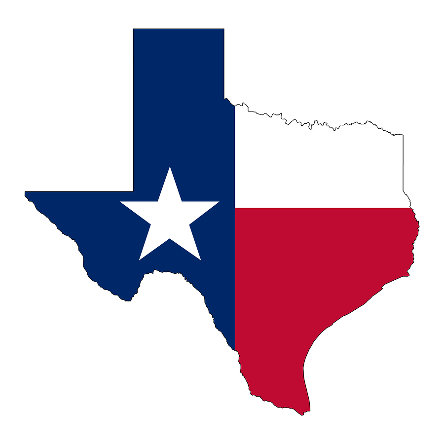 ¿Que es el departamento de Seguros de Texas y cuáles son sus facultades?  